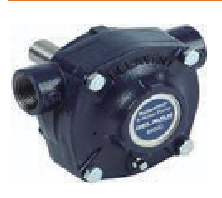 BOMBA 8 RODILLOS DELAVAN 24 GPM 00 PSI